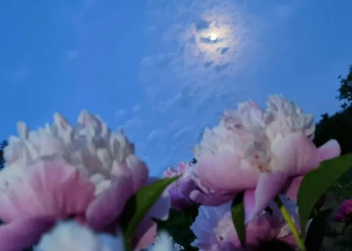 דירה Eskici Staro Myasto